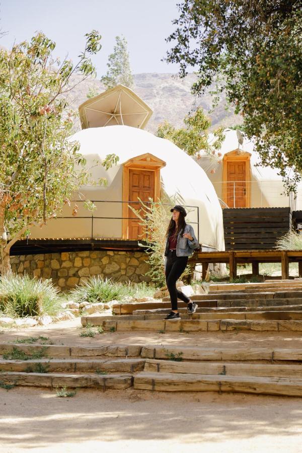 Milodge Elqui Domos ปิสโกเอลกี ภายนอก รูปภาพ