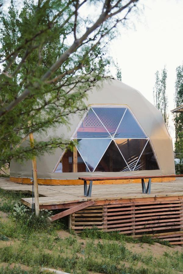 Milodge Elqui Domos ปิสโกเอลกี ภายนอก รูปภาพ